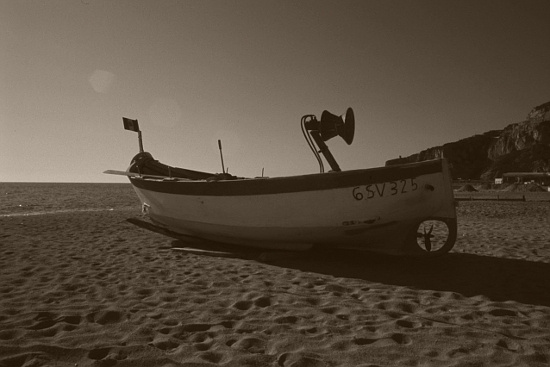  Copyright Angelo Brunero 