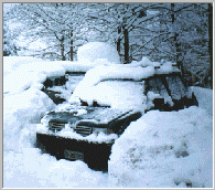 UNA BELLA NEVICATA